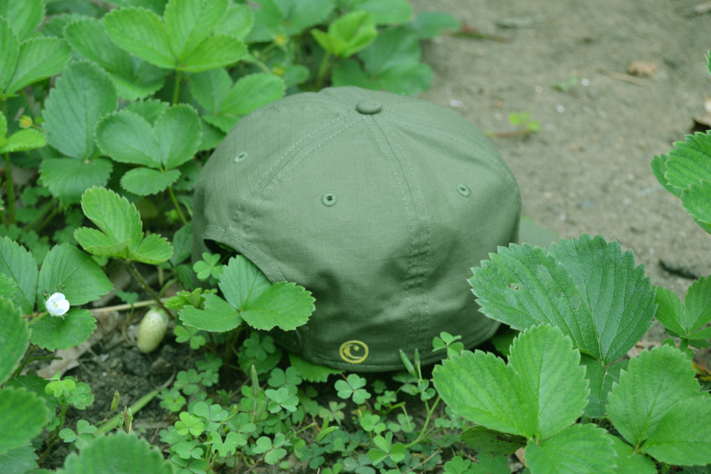 The dropped 8 seater Cap