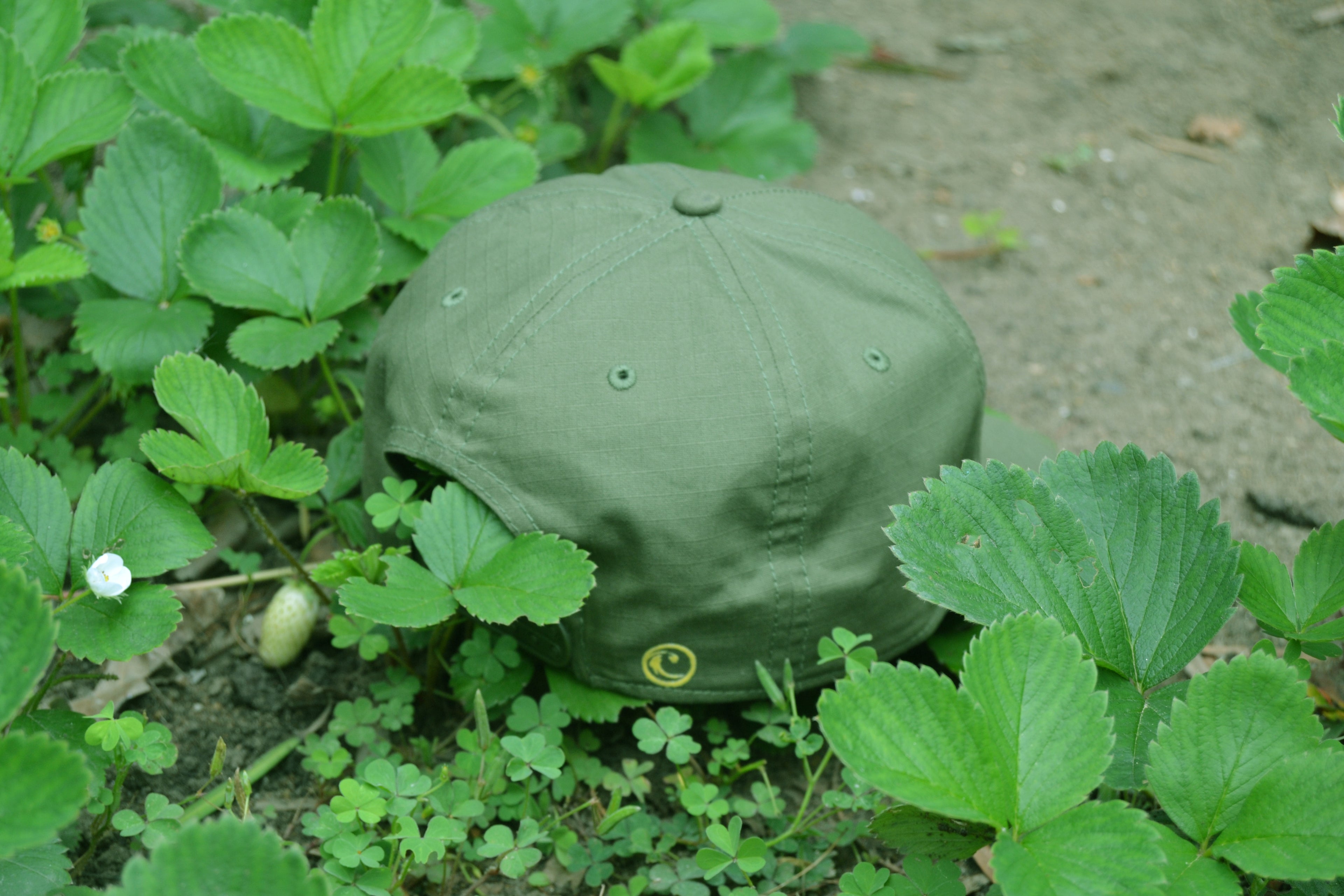 The dropped 8 seater Cap