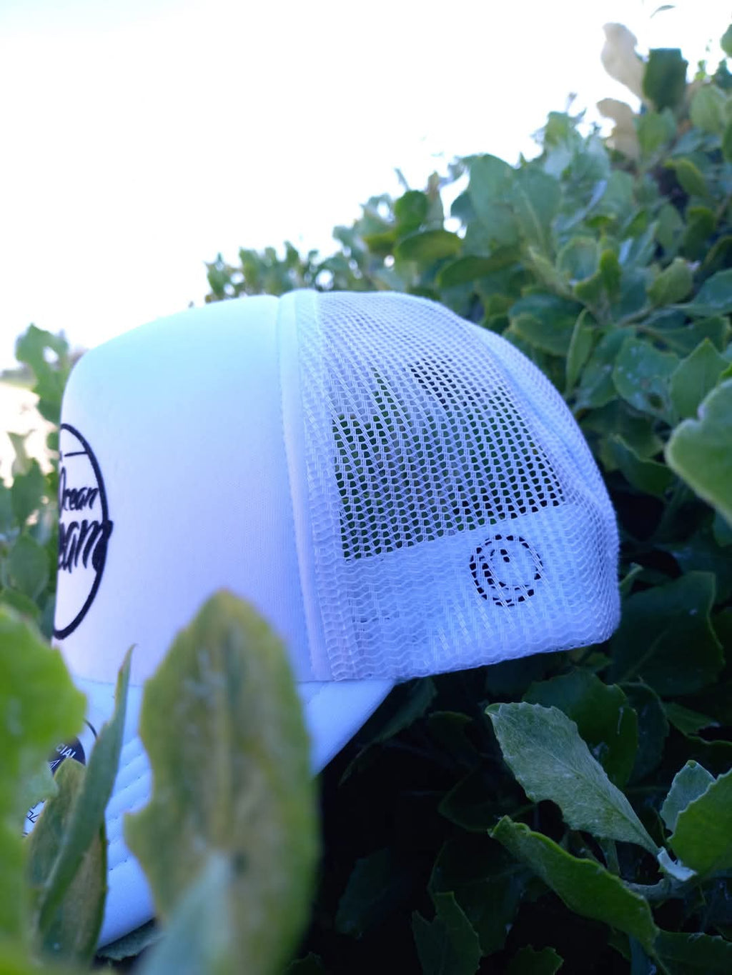 The Trucker cap