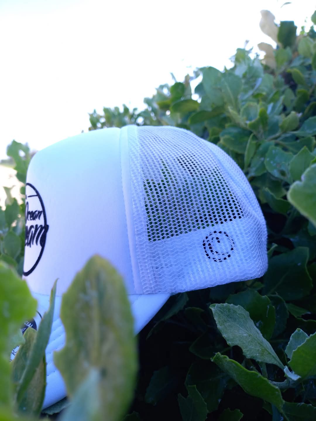 The Trucker cap