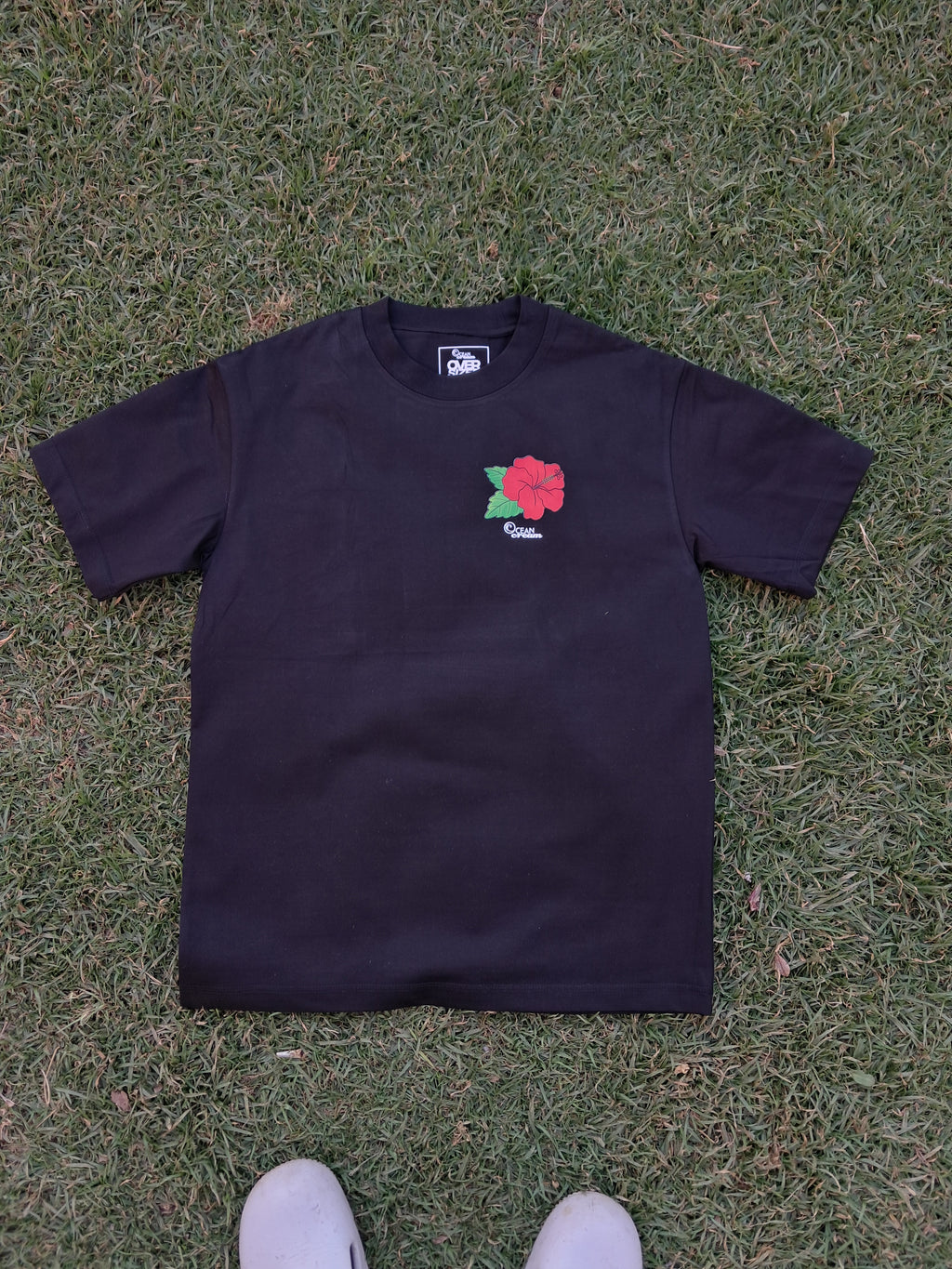 The Hibiscus II